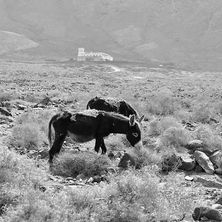 Apartment Amanecer Paraiso