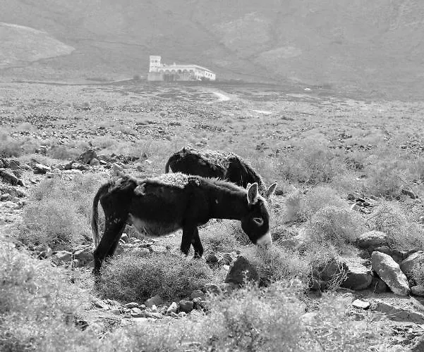 Apartmán Amanecer Paraiso